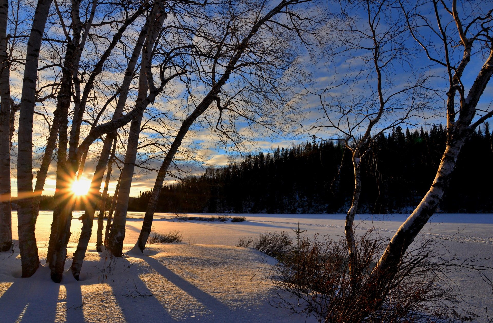 夕日の壁紙,雪,冬,木,自然,空