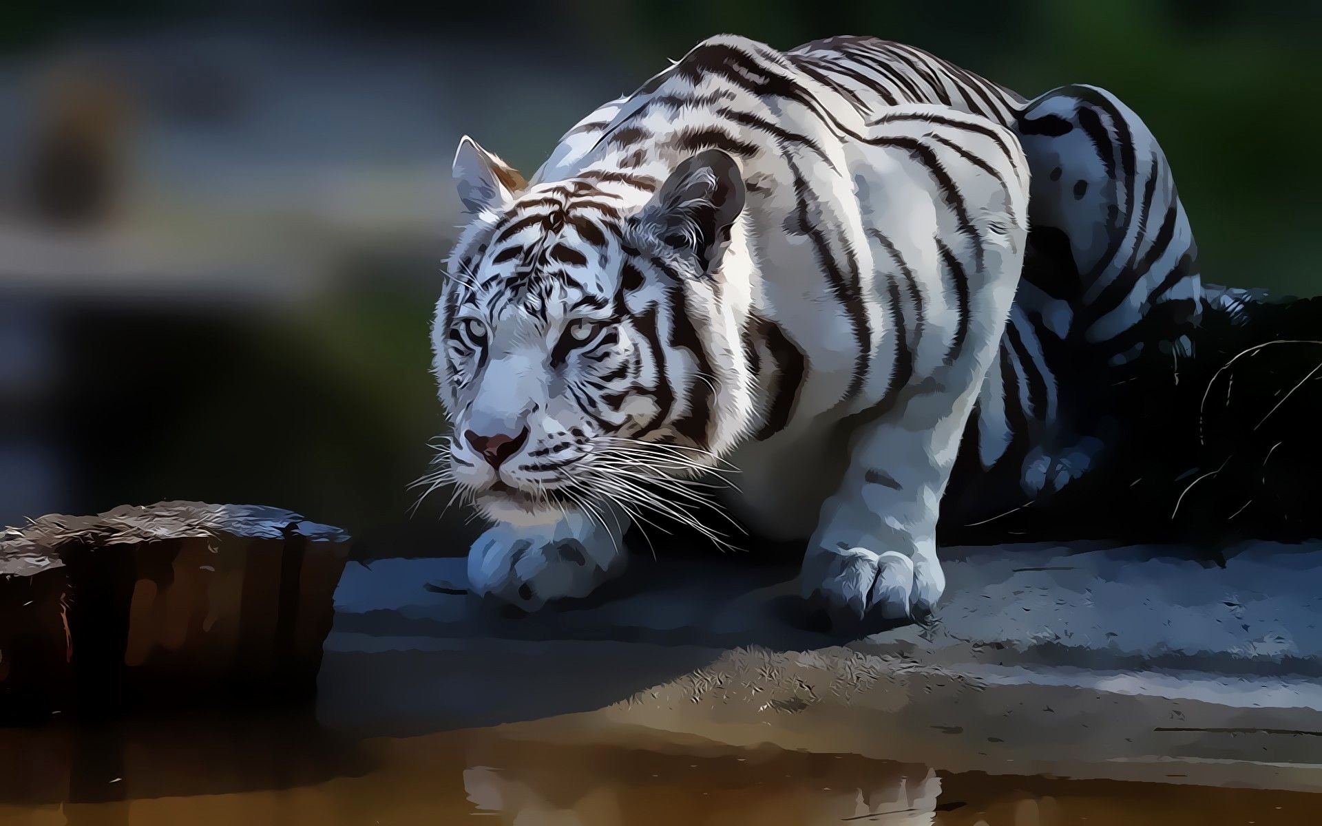 tiger wallpaper,tiger,mammal,vertebrate,bengal tiger,wildlife