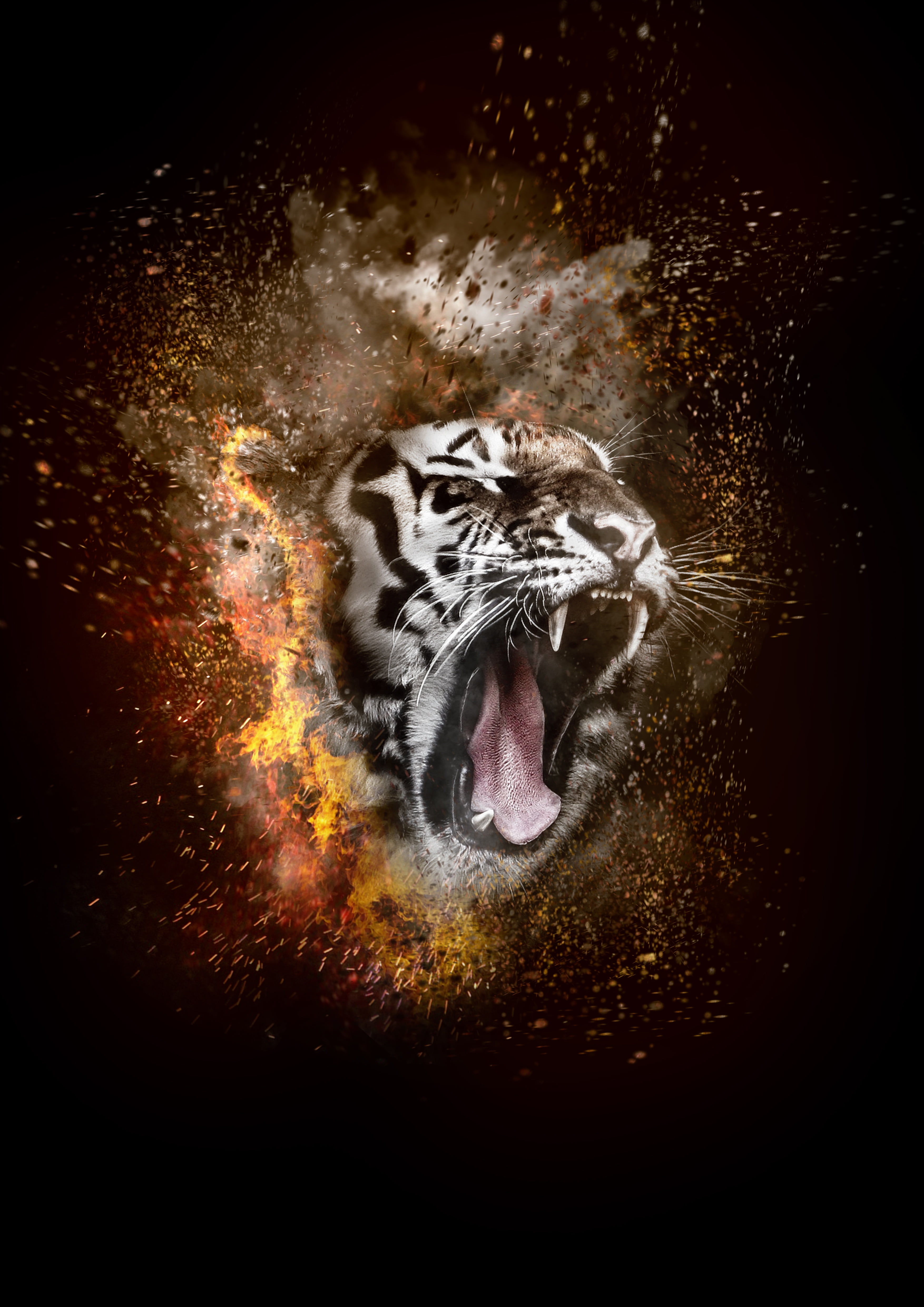 tiger wallpaper,tiger,bengal tiger,roar,felidae,siberian tiger