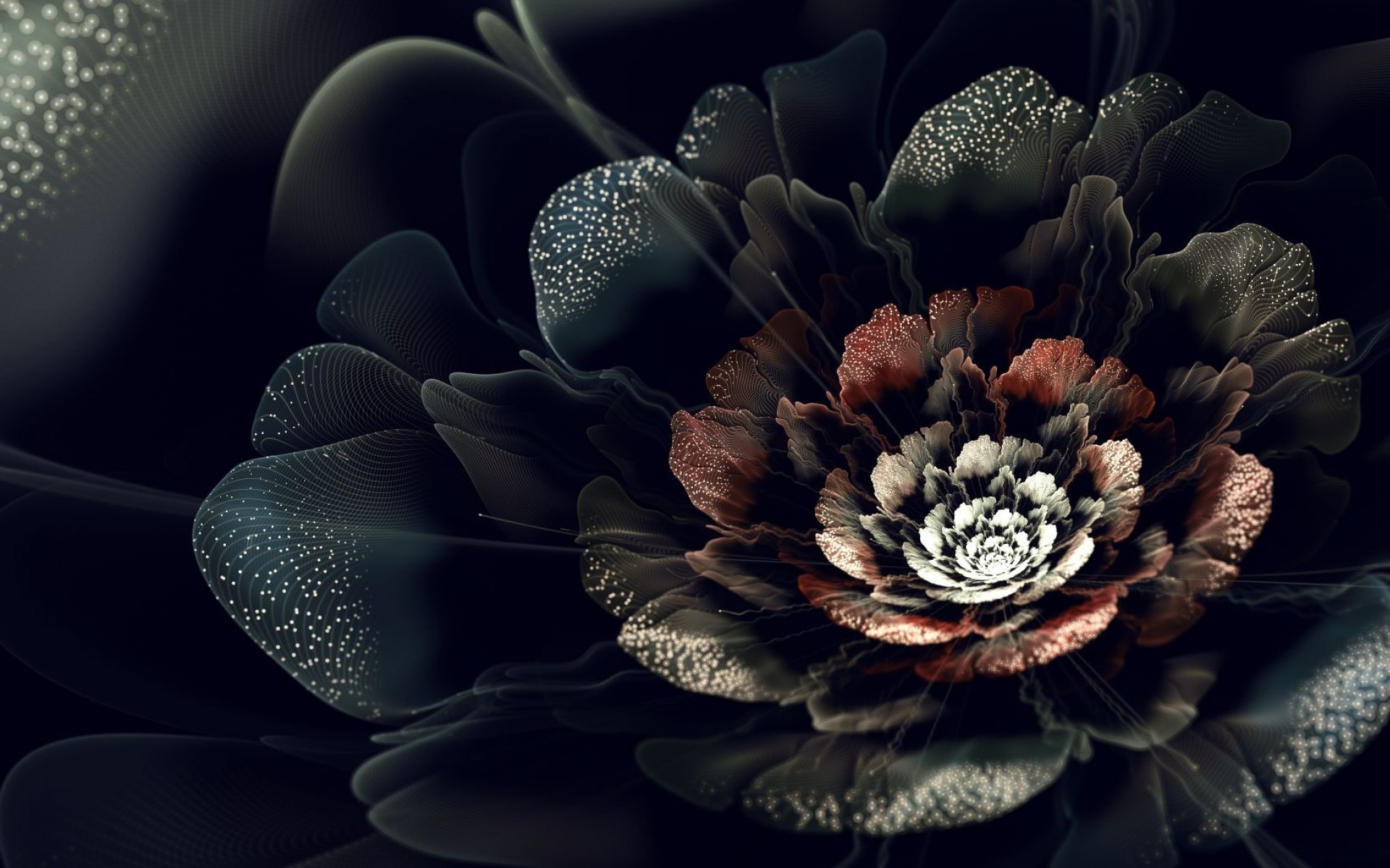 art wallpaper,petal,flower,fractal art,still life photography,plant