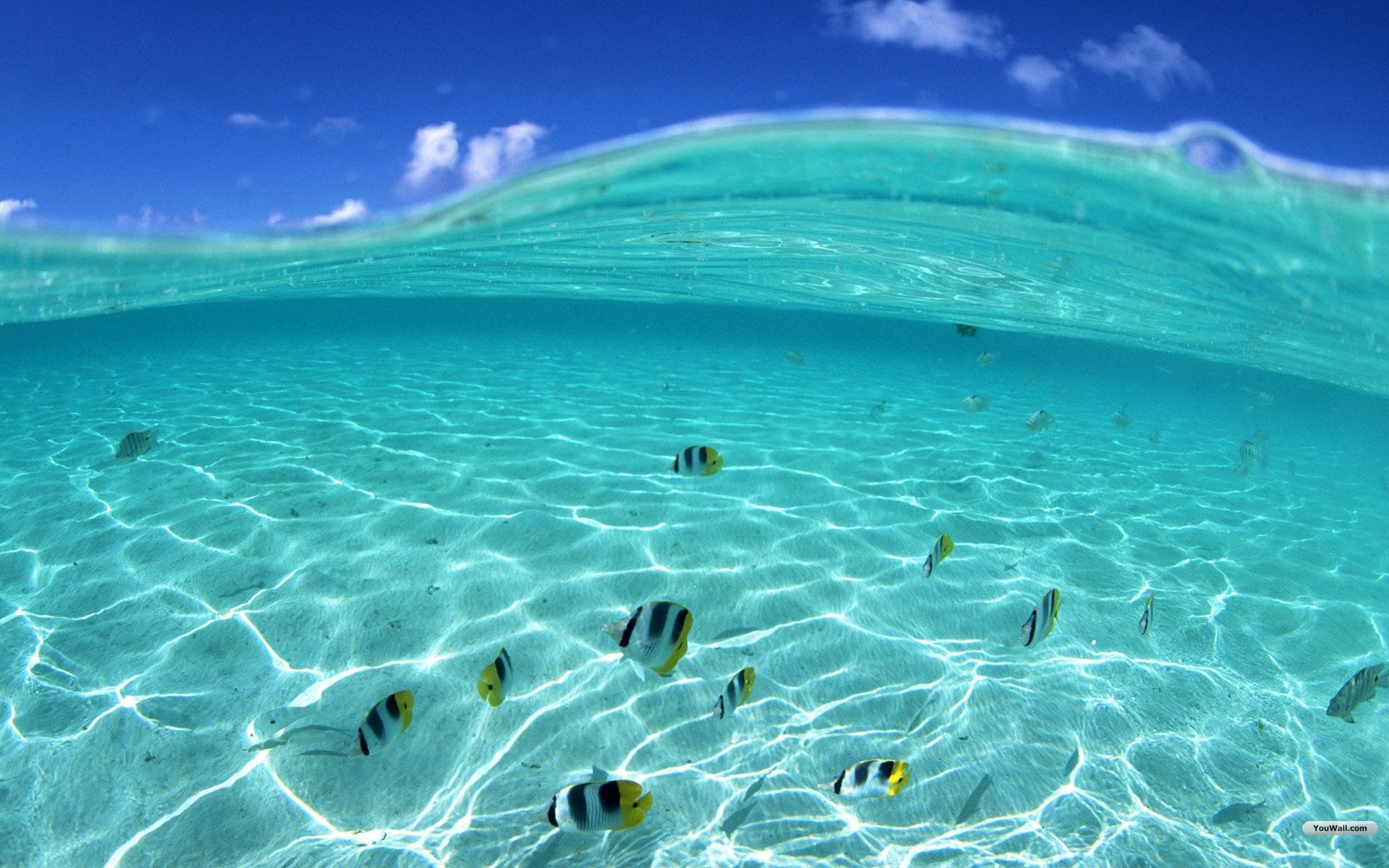 fond d'écran de la mer,aqua,l'eau,bleu,ressources en eau,océan