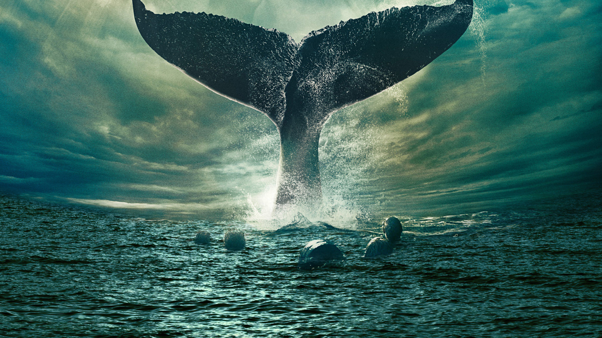 sea wallpaper,marine mammal,cetacea,whale,humpback whale,ocean