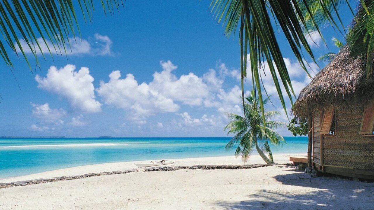 carta da parati del mare,vacanza,albero,caraibico,spiaggia,palma