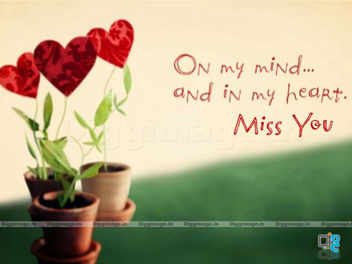 miss u dad wallpapers,flower,tulip,love,valentine's day,text