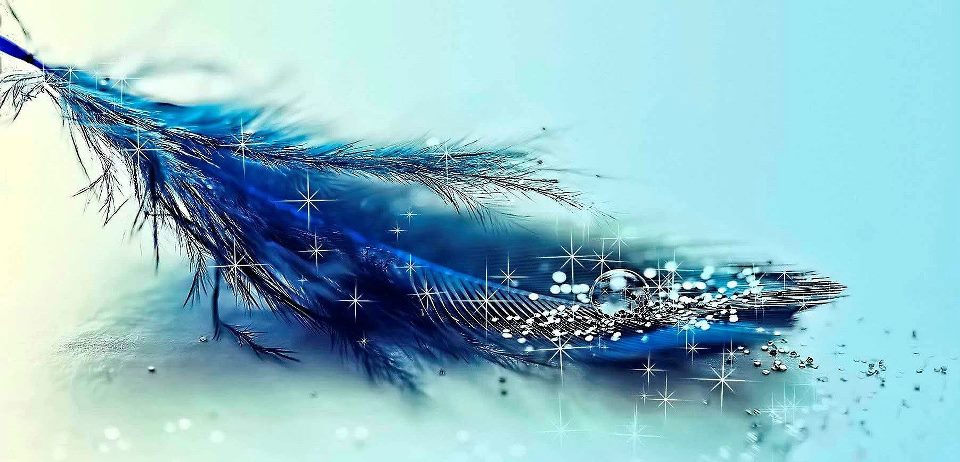 facebook cover photo wallpaper,blue,turquoise,feather,azure,water