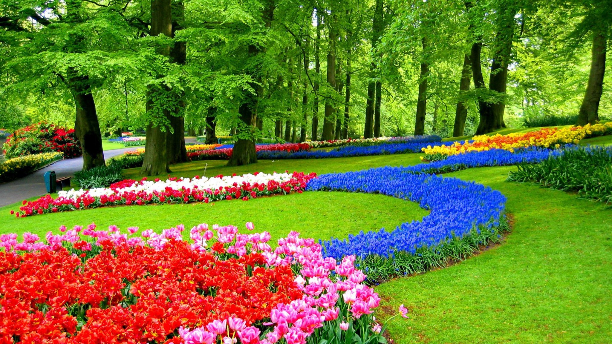garden wallpaper download,garden,botanical garden,nature,flower,plant