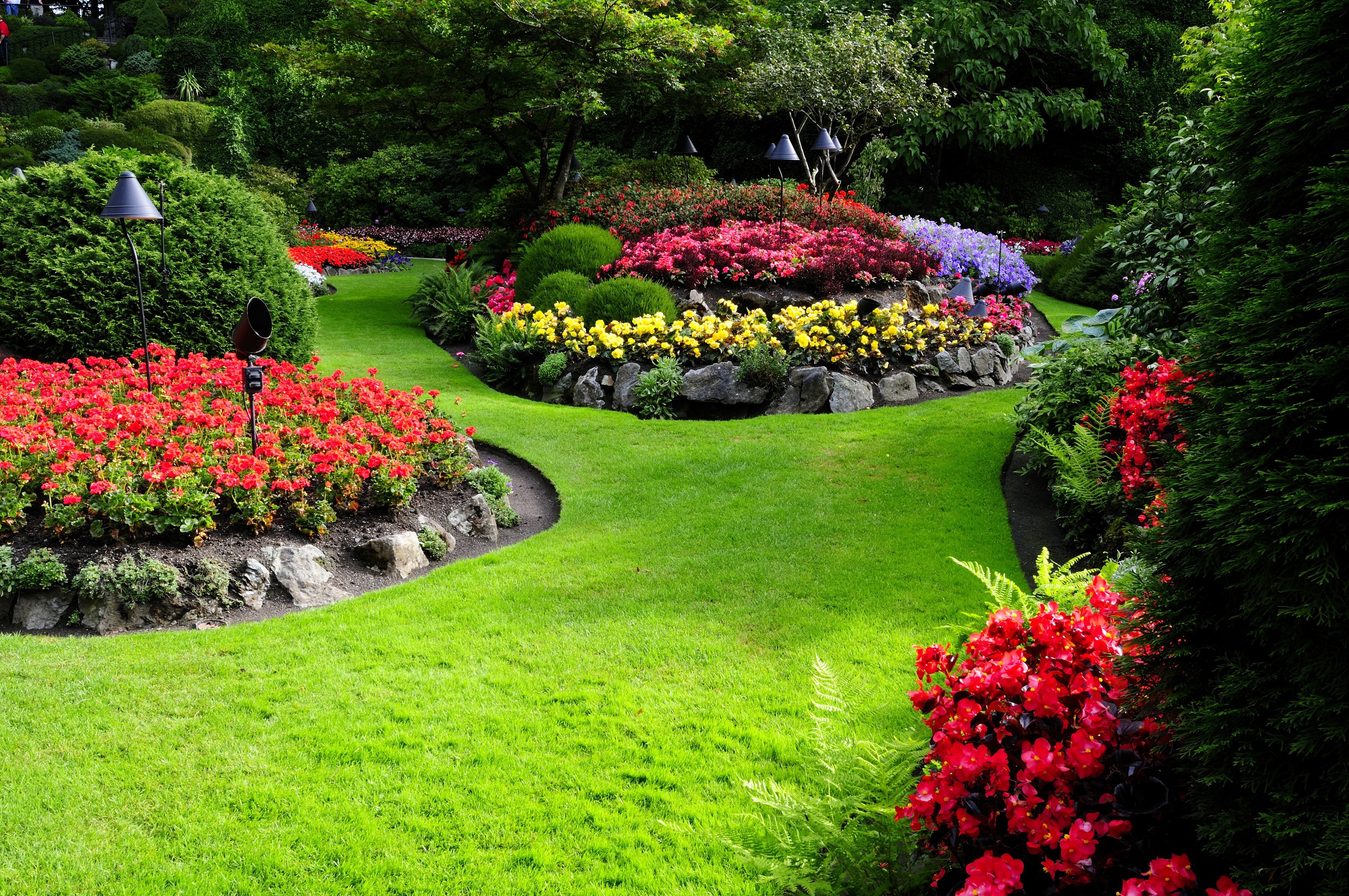 庭の壁紙ダウンロード,庭園,芝生,自然,植物園,自然の風景