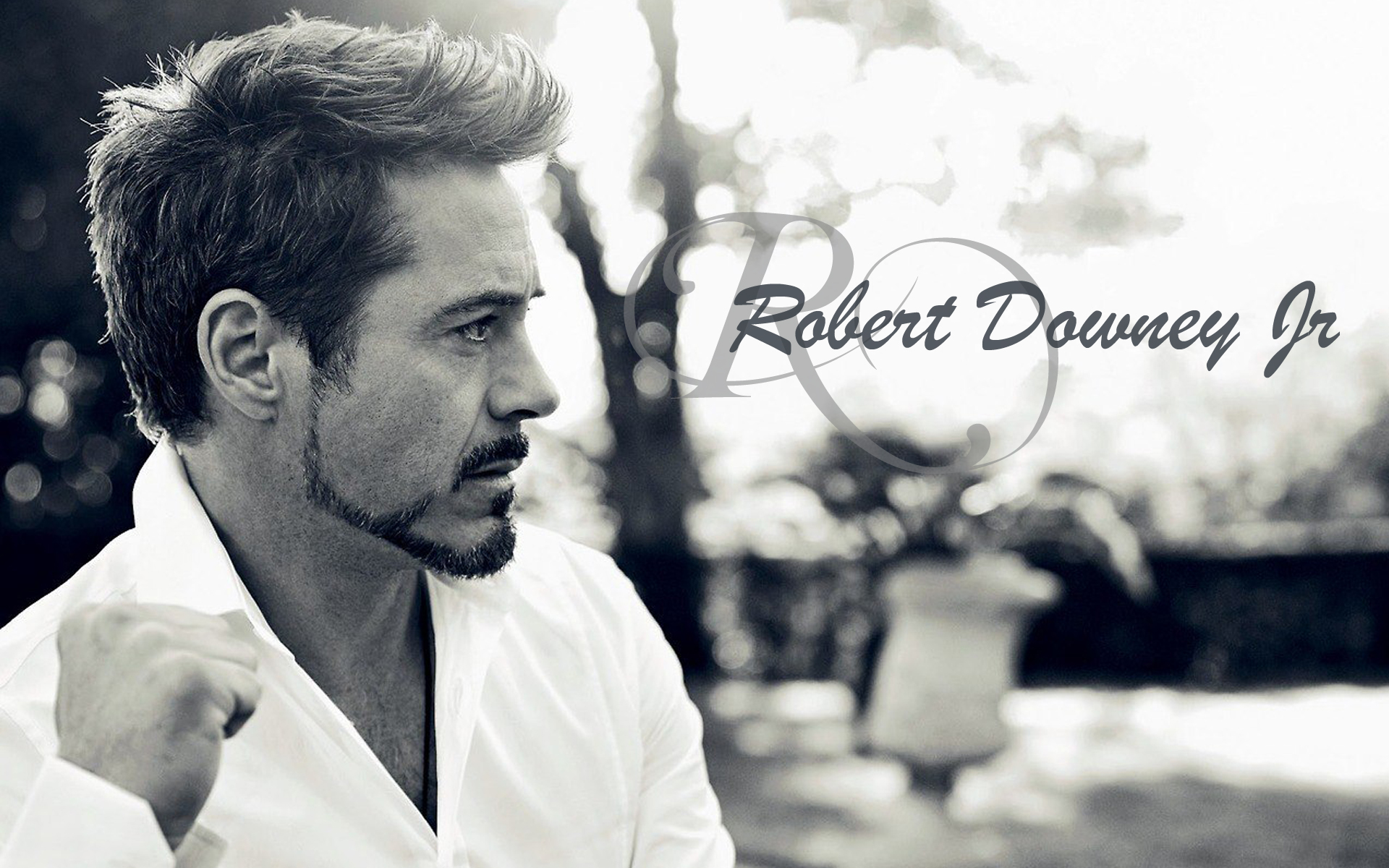 robert downey jr. hd wallpaper,fotografieren,stirn,schriftart,schwarz und weiß,lächeln