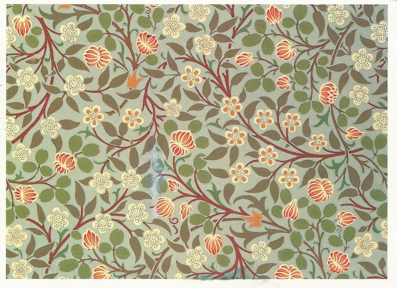 william morris wallpaper samples,pattern,orange,textile,botany,wrapping paper