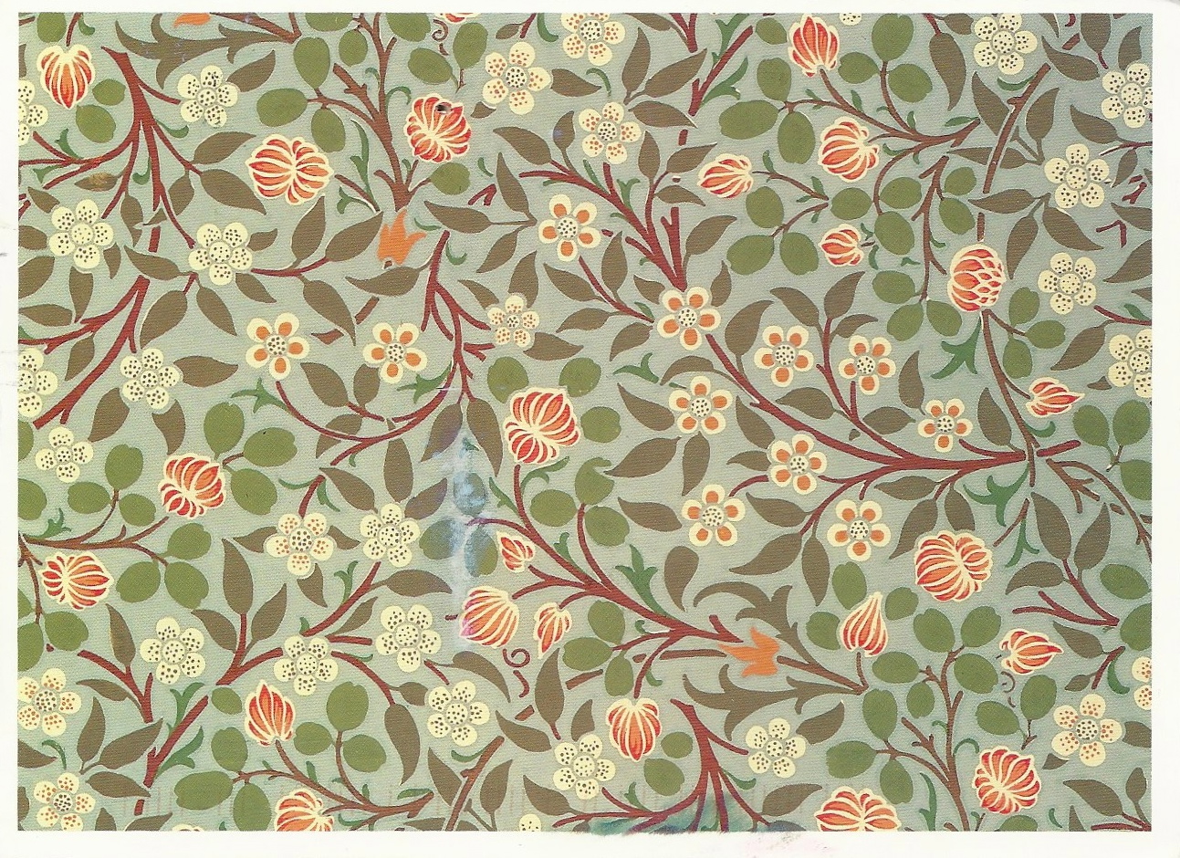 campioni di carta da parati di william morris,modello,arancia,tessile,carta per incartare,interior design