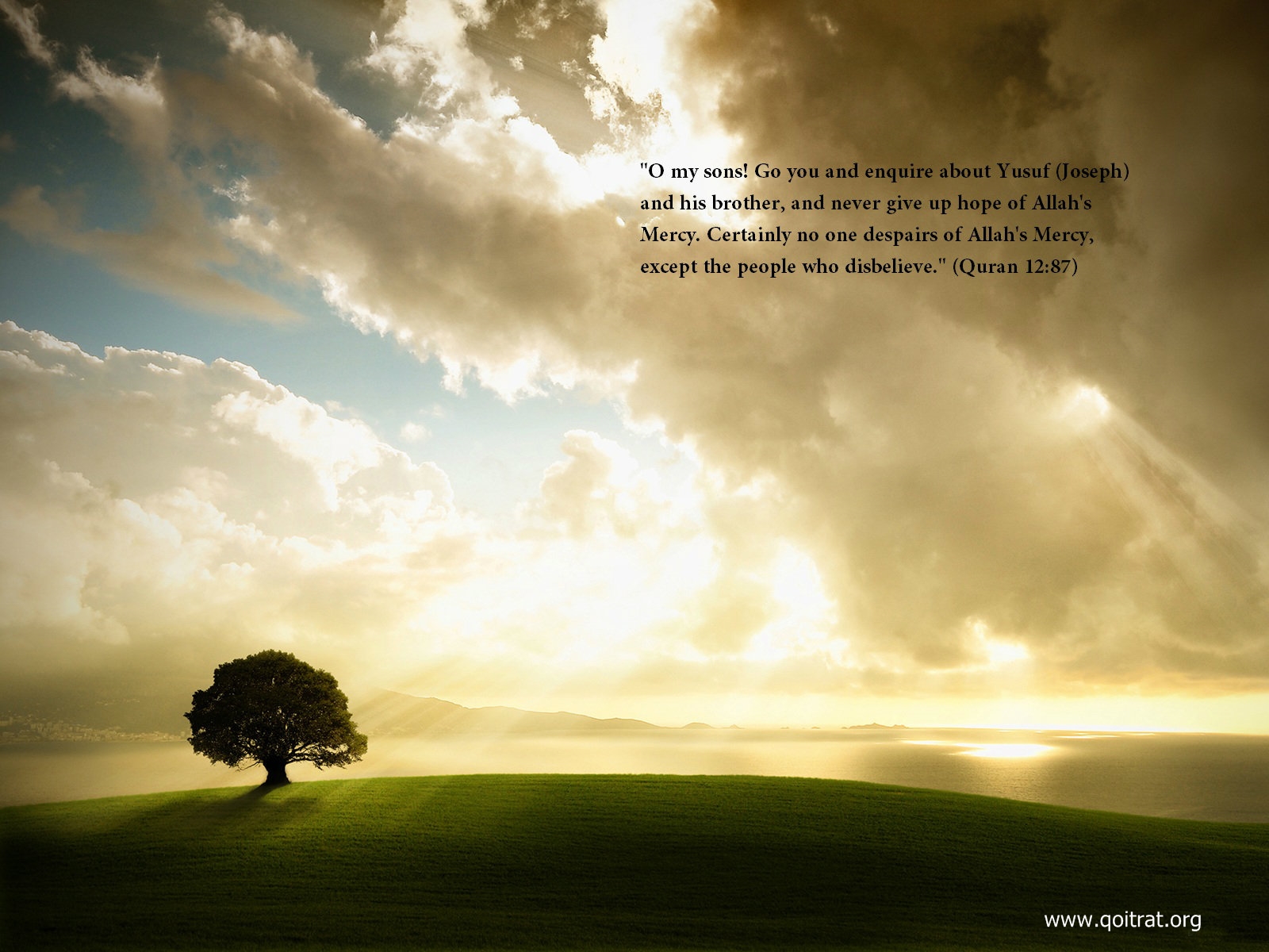 quran quotes wallpaper,sky,nature,cloud,natural landscape,morning