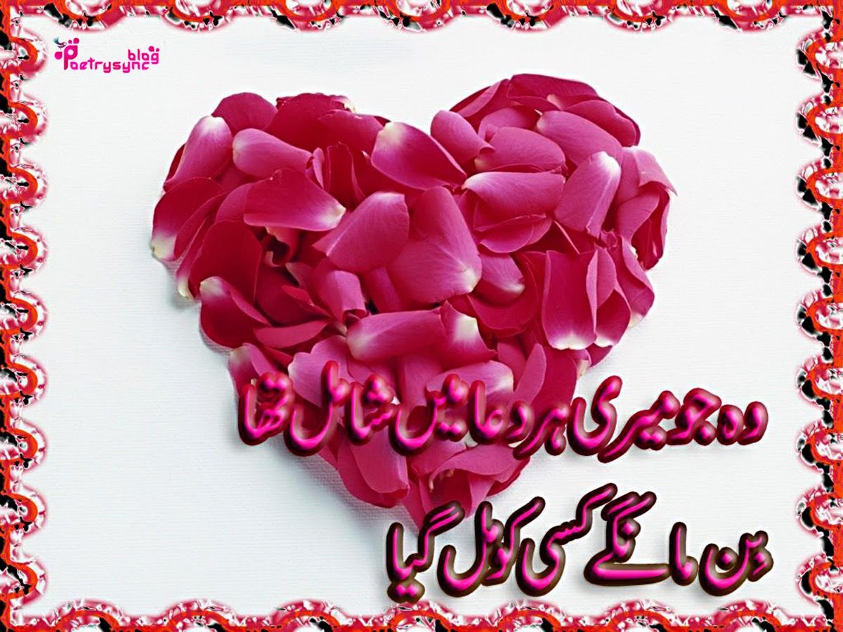 dua poetry wallpaper,pink,petal,text,valentine's day,heart