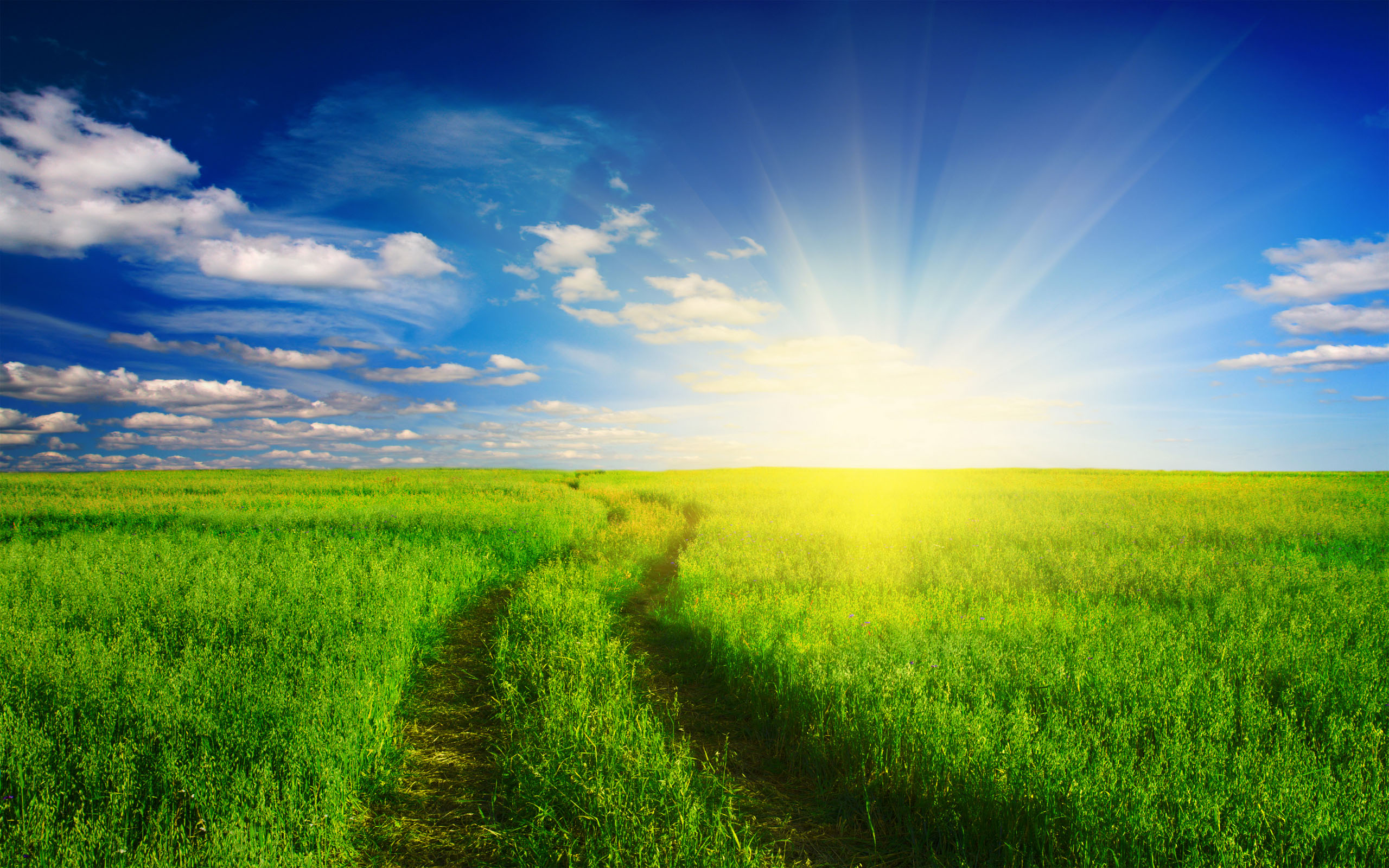 sunlight wallpaper,sky,natural landscape,people in nature,grassland,nature