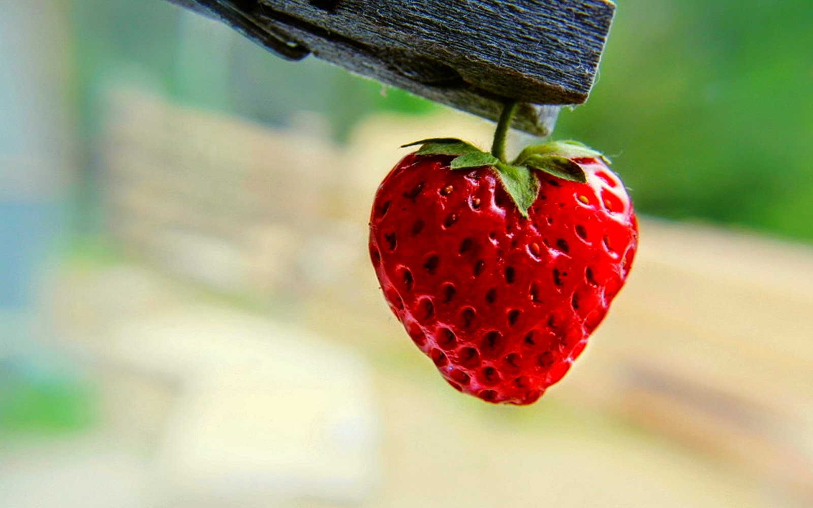 fruits photos fonds d'écran,fraise,aliments naturels,baie,fruit,fruit accessoire