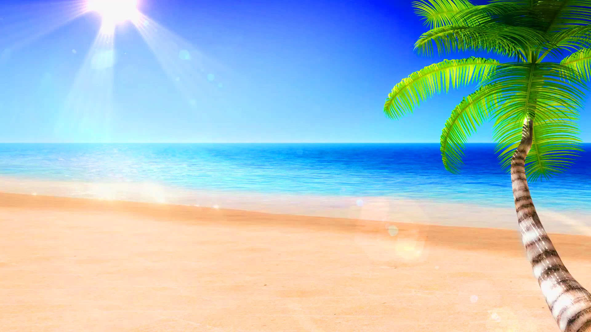 fondo de pantalla tropical hd,naturaleza,cielo,palmera,árbol,oceano