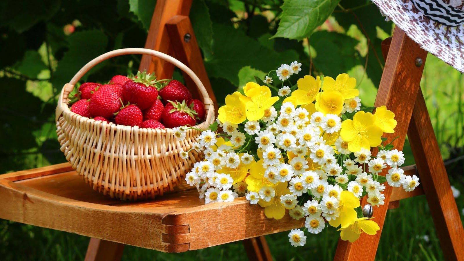 fruits pictures wallpapers,flower,plant,basket,strawberries,fruit