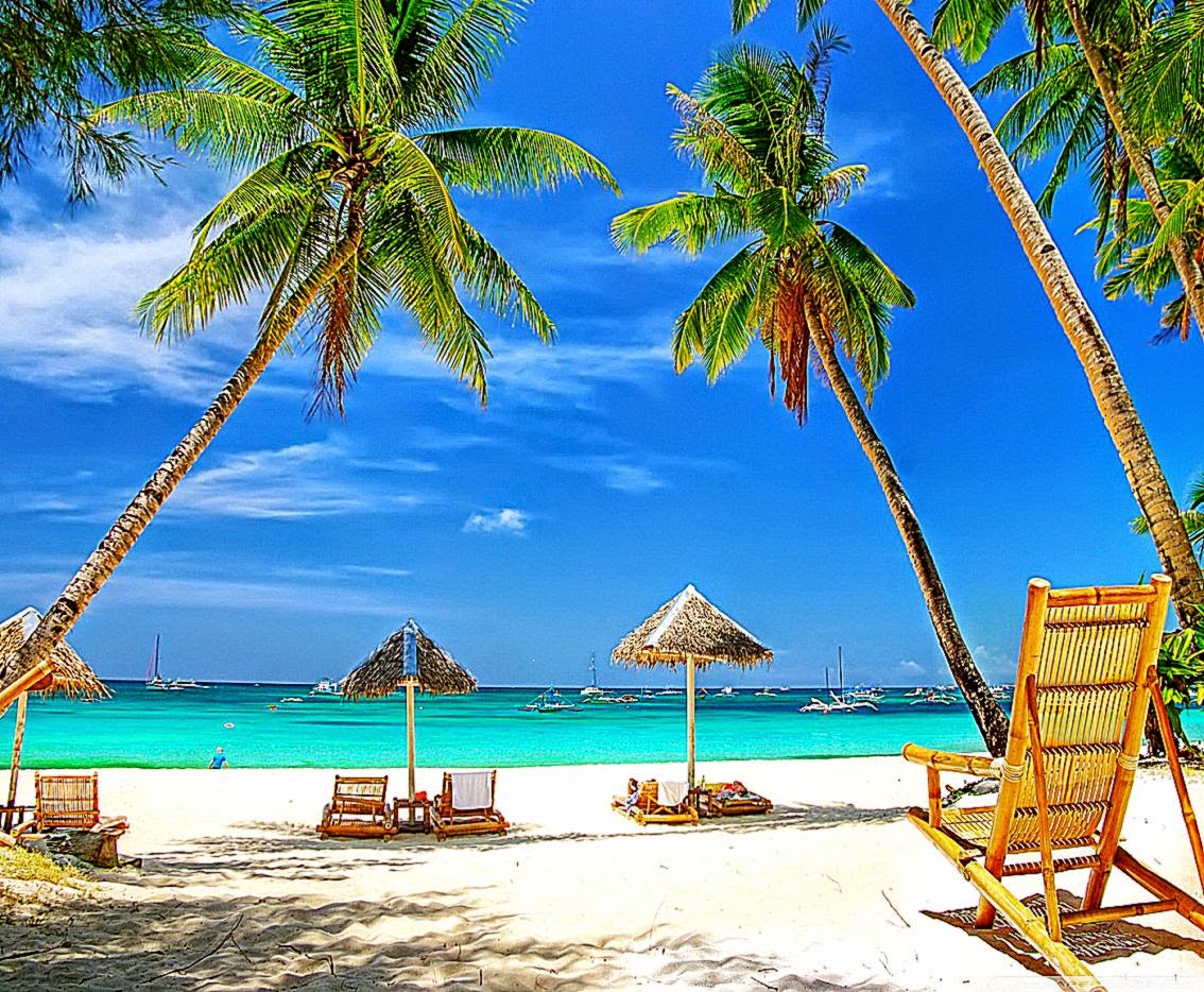 hd tropicale della carta da parati,vacanza,caraibico,albero,palma,spiaggia
