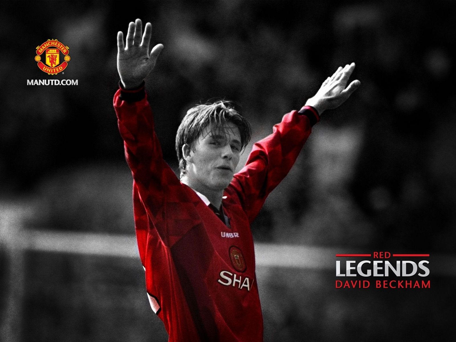 beckham fondo de pantalla hd,rojo,jugador,jugador de fútbol,fuente,jugador de fútbol