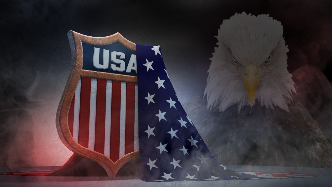 hockey iphone wallpaper,eagle,bald eagle,flag,flag of the united states,bird of prey
