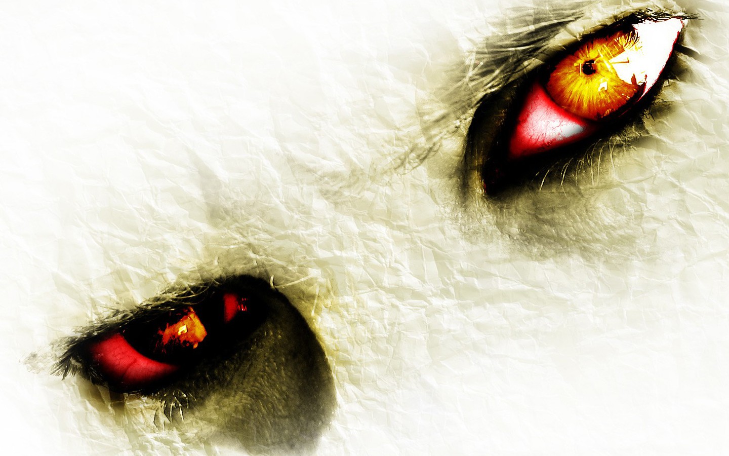 악마의 눈 바탕 화면,빨간,눈,확대,매크로 사진,적목 현상