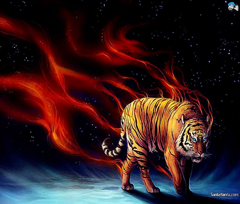 papier peint tigre de feu,tigre du bengale,félidés,tigre,gros chats,faune