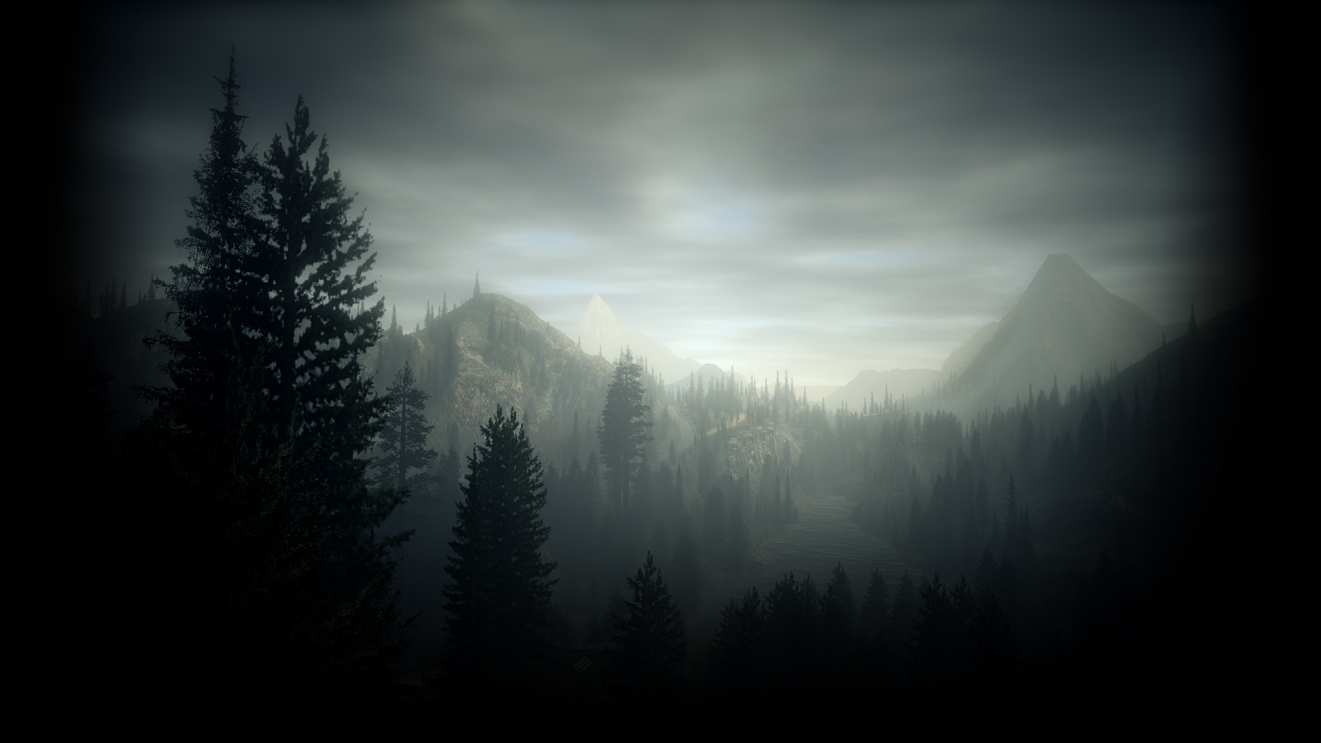 alan wake fondo de pantalla,cielo,naturaleza,negro,árbol,atmósfera