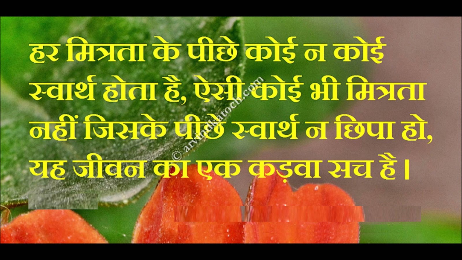 divya bharti ke wallpaper,natural foods,local food,leaf,text,font