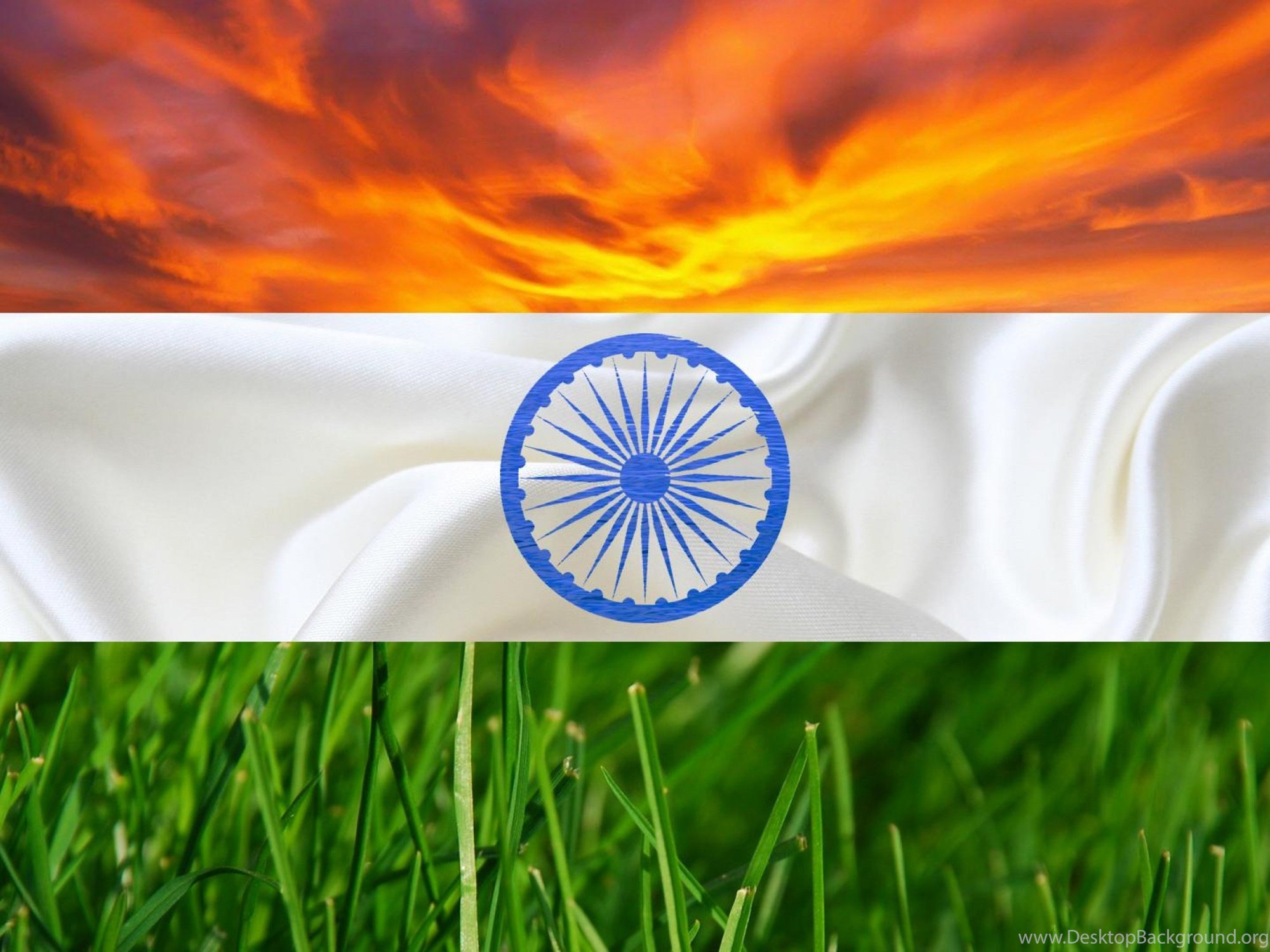 drapeau indien images hd fond d'écran,drapeau,herbe,famille d'herbe,ciel,plante