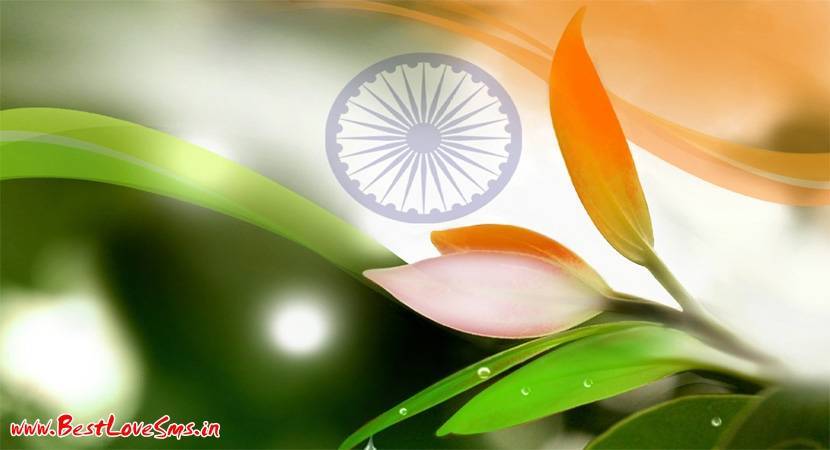 tiranga jhanda hd wallpaper,nature,green,petal,macro photography,flower