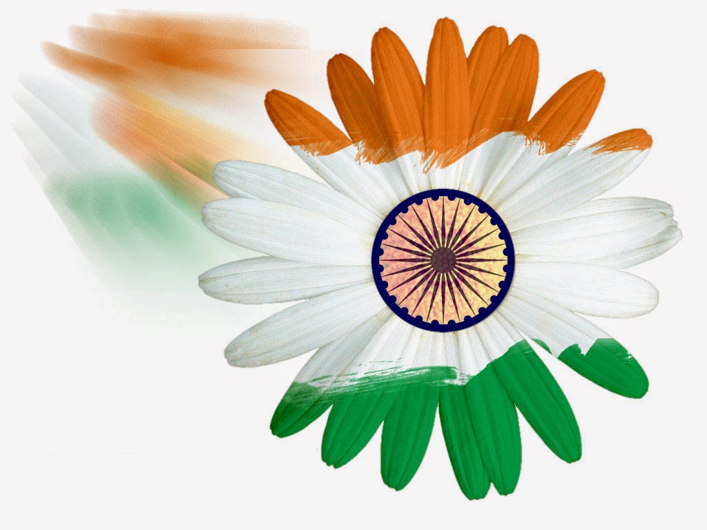 tiranga photo wallpaper,flower,petal,daisy,chamomile,plant