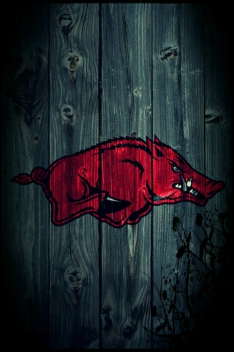 arkansas razorbacks fond d'écran,rouge,illustration,bois,art,graphique