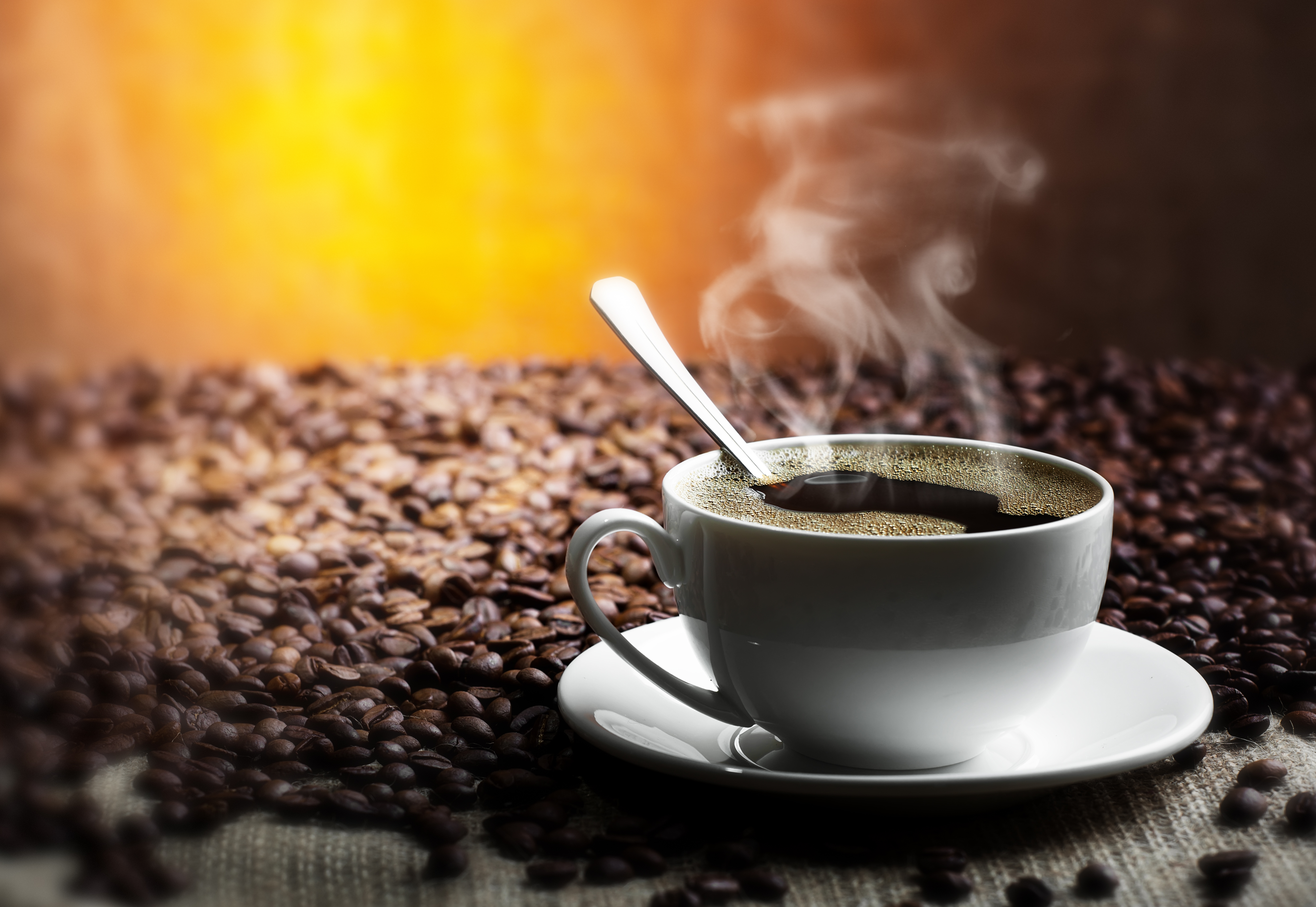 커피 컵 벽지,커피 컵,컵,카페인,컵,아침