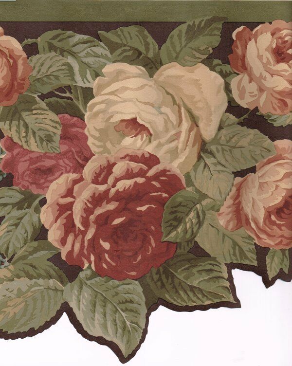 carta da parati rosa cavolo,fiore,pianta,rosa,rose da giardino,rosa centifolia