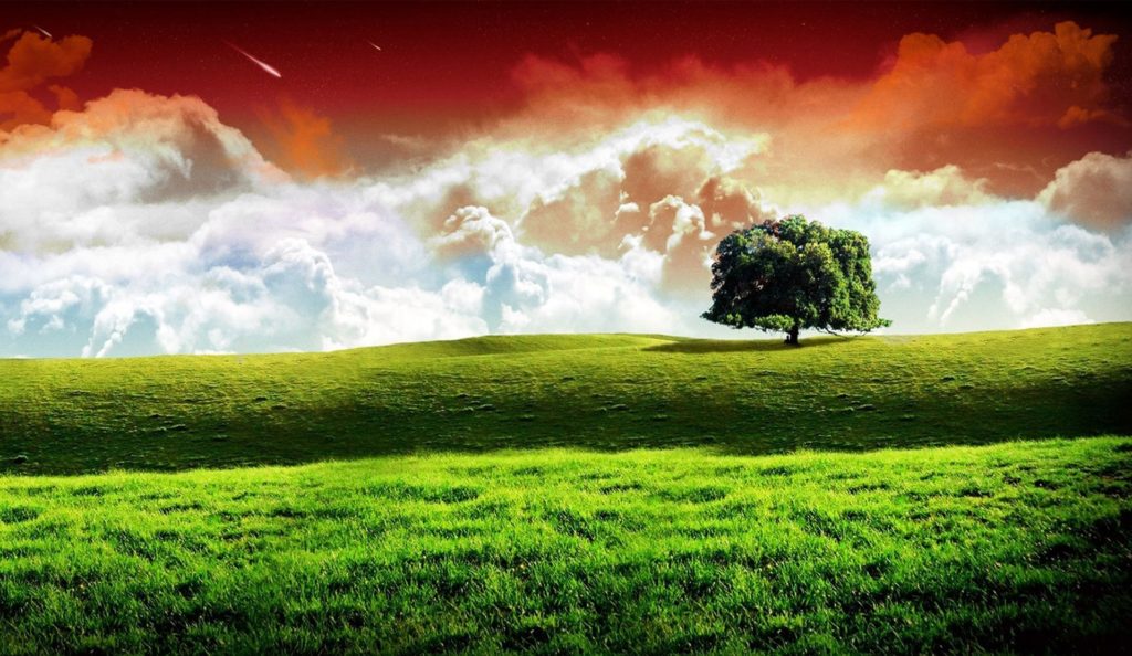 インド壁紙hdダウンロード,自然の風景,自然,空,草原,緑