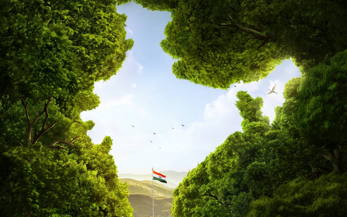 インド壁紙hdダウンロード,緑,自然,自然の風景,空,昼間