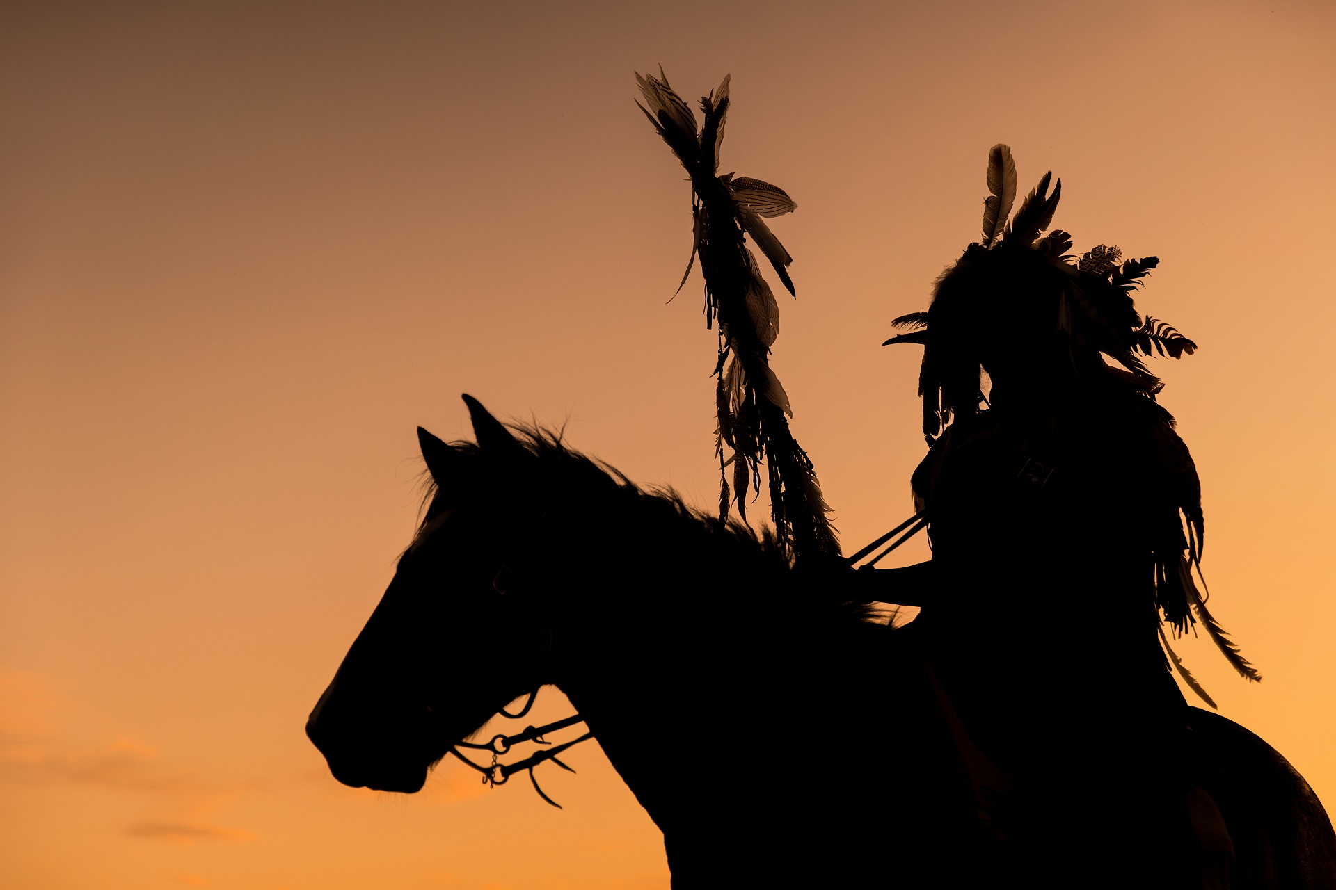 sfondi hd nativi americani,cavallo,cielo,silhouette,statua,stallone