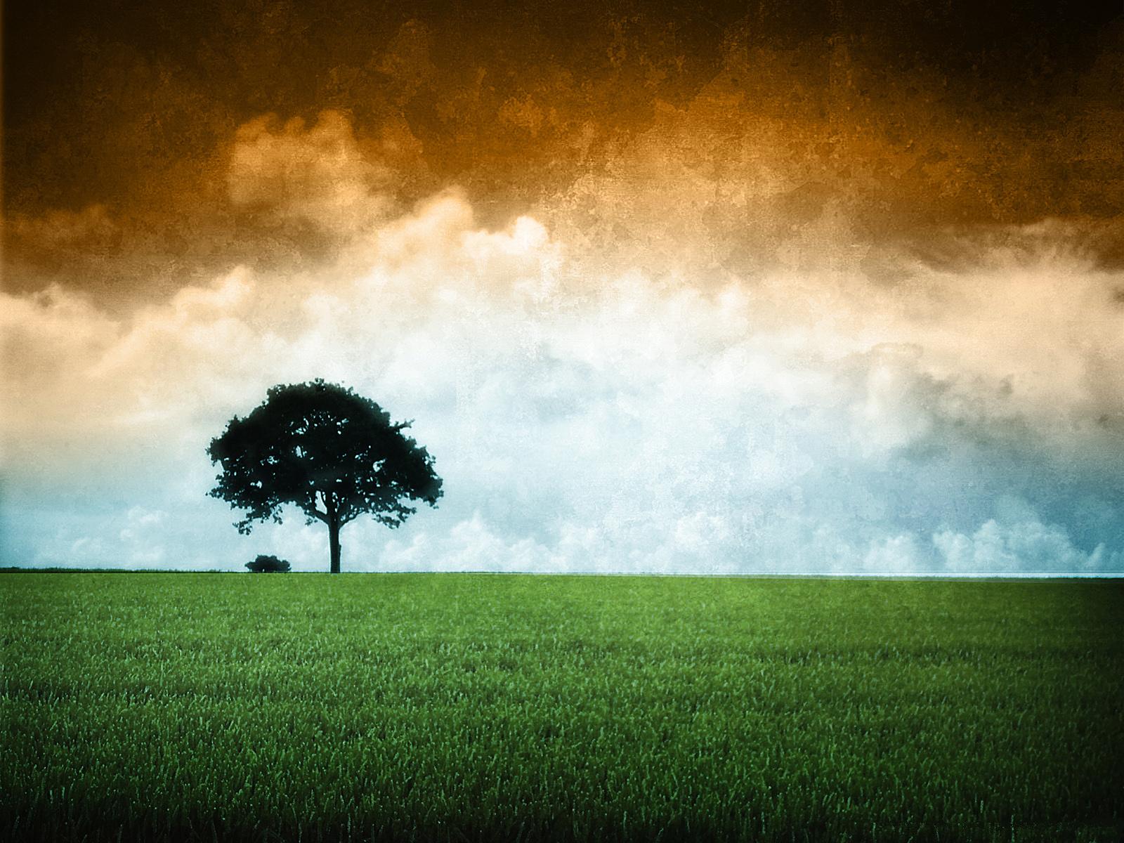 fond d'écran indien photo,ciel,paysage naturel,la nature,vert,arbre