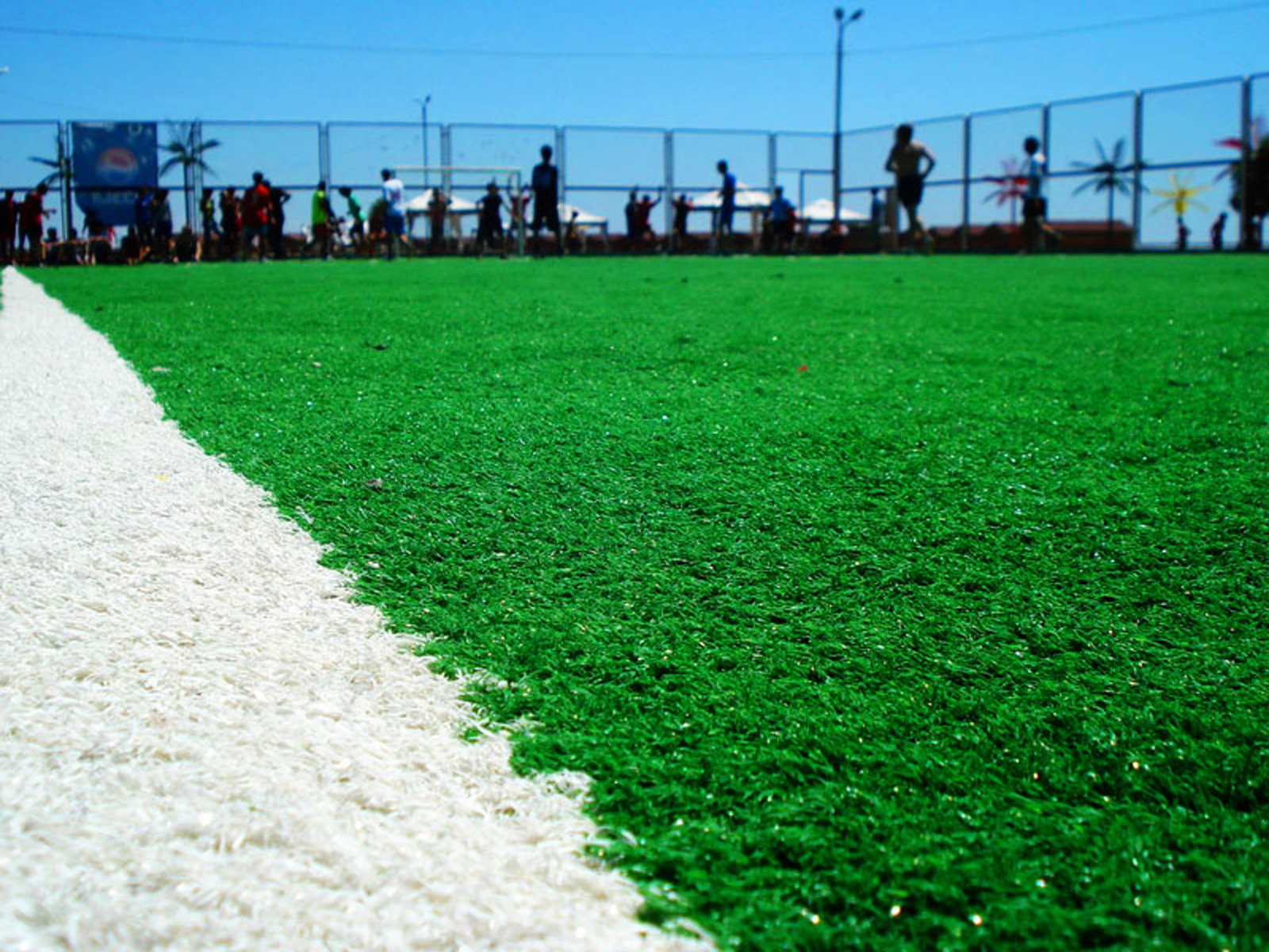 야구 라이브 배경 화면,잔디,초록,잔디,인공 잔디,바닥