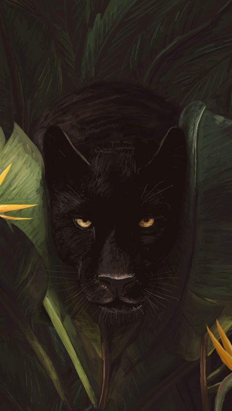 panther iphone wallpaper,schwarze katze,katze,felidae,schnurrhaare,kleine bis mittelgroße katzen