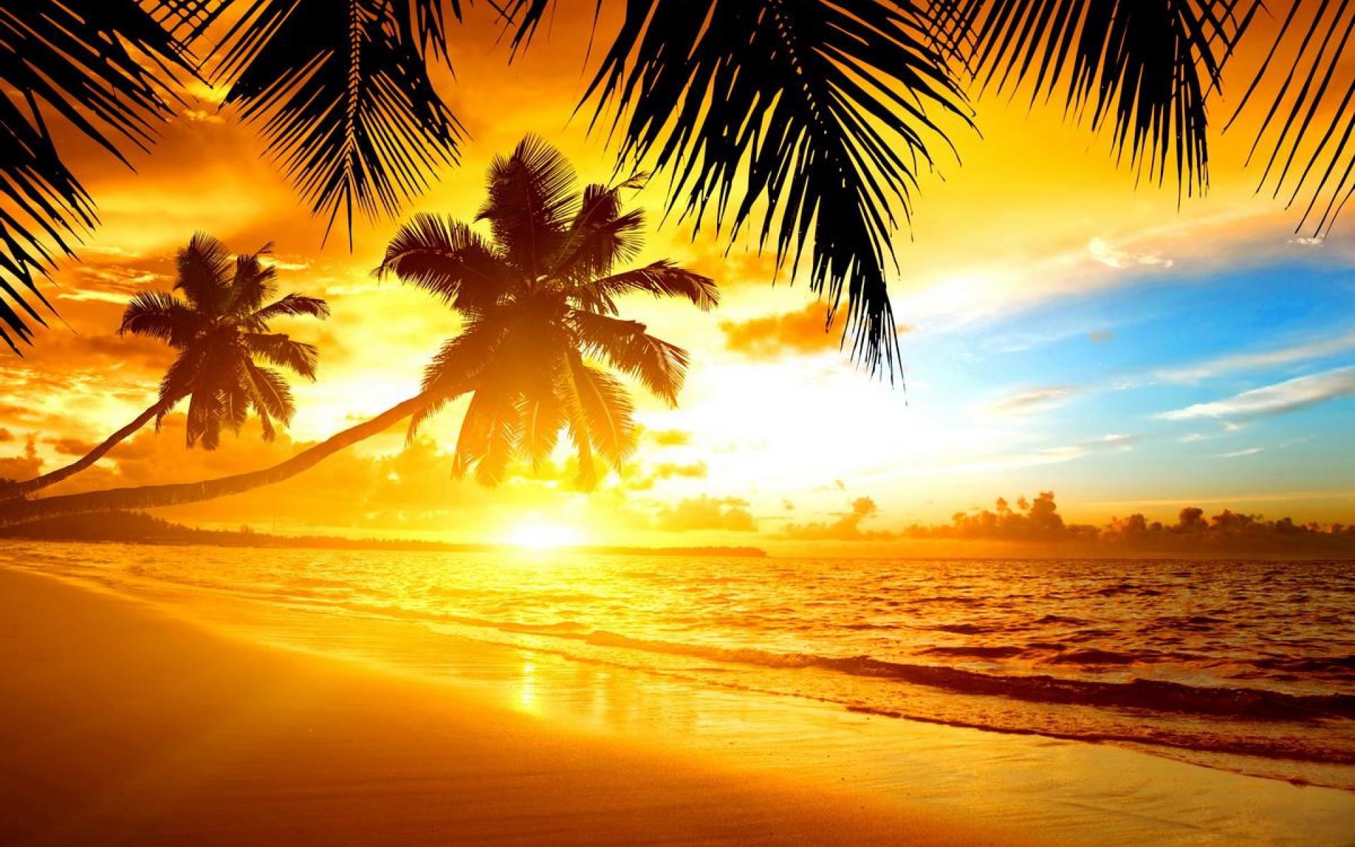papier peint île tropicale,ciel,la nature,le coucher du soleil,arbre,lever du soleil