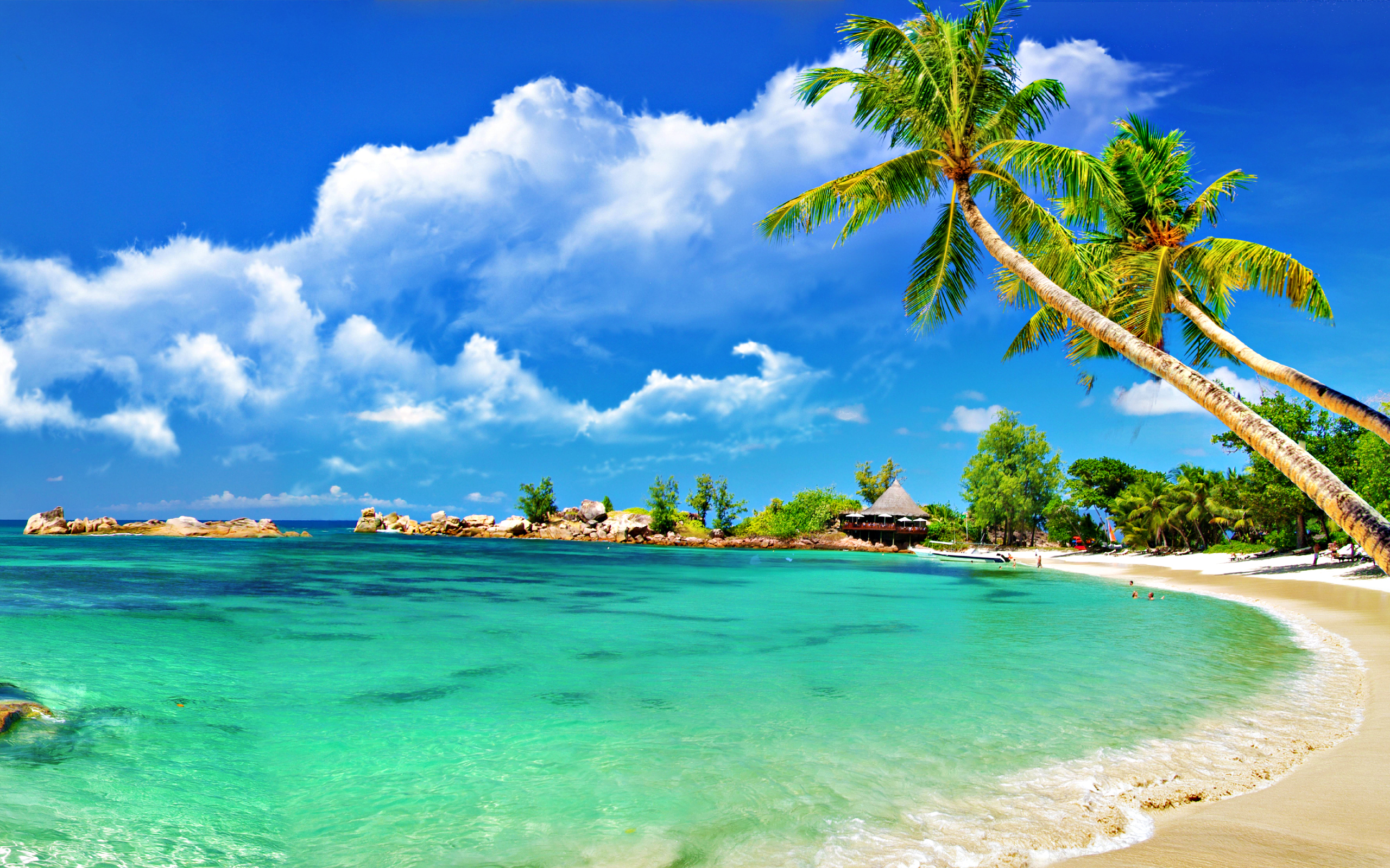 carta da parati caraibica,paesaggio naturale,corpo d'acqua,natura,cielo,spiaggia