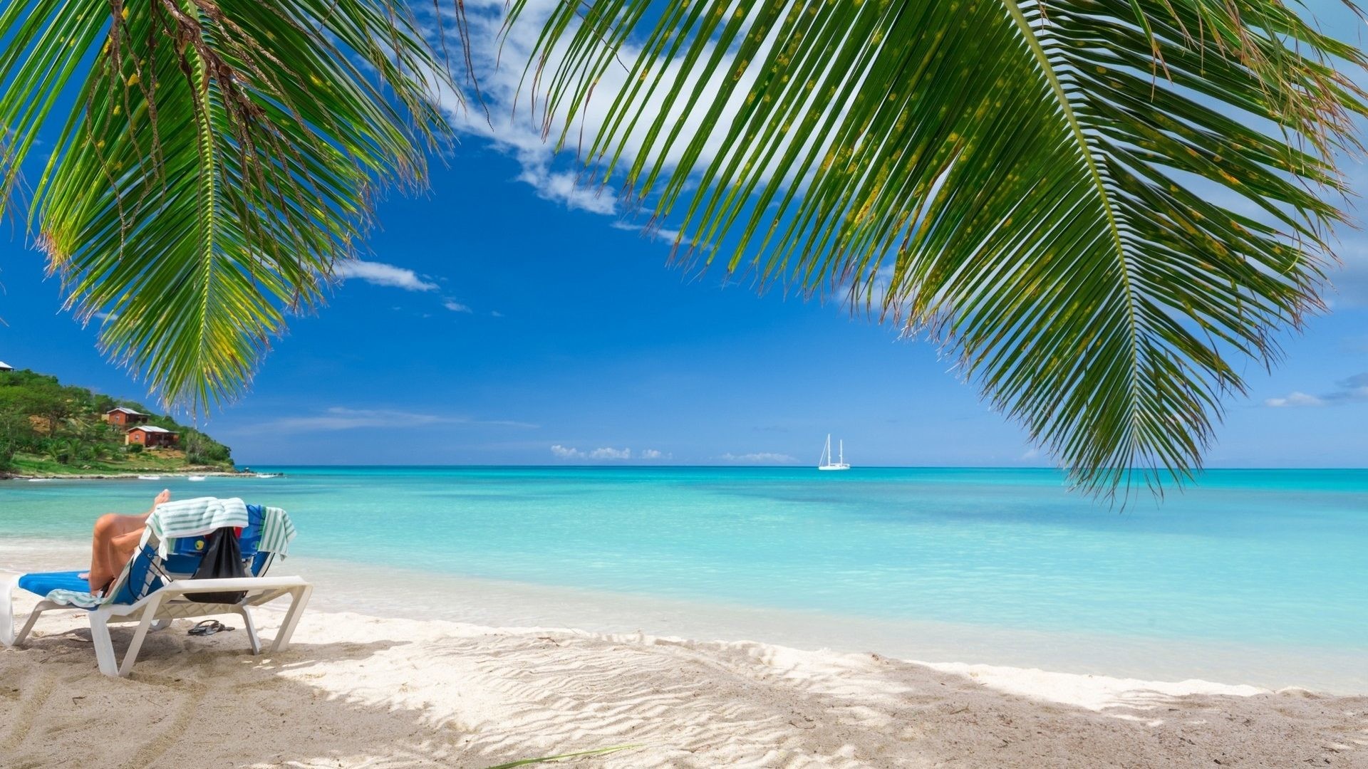 carta da parati caraibica,natura,caraibico,albero,vacanza,spiaggia