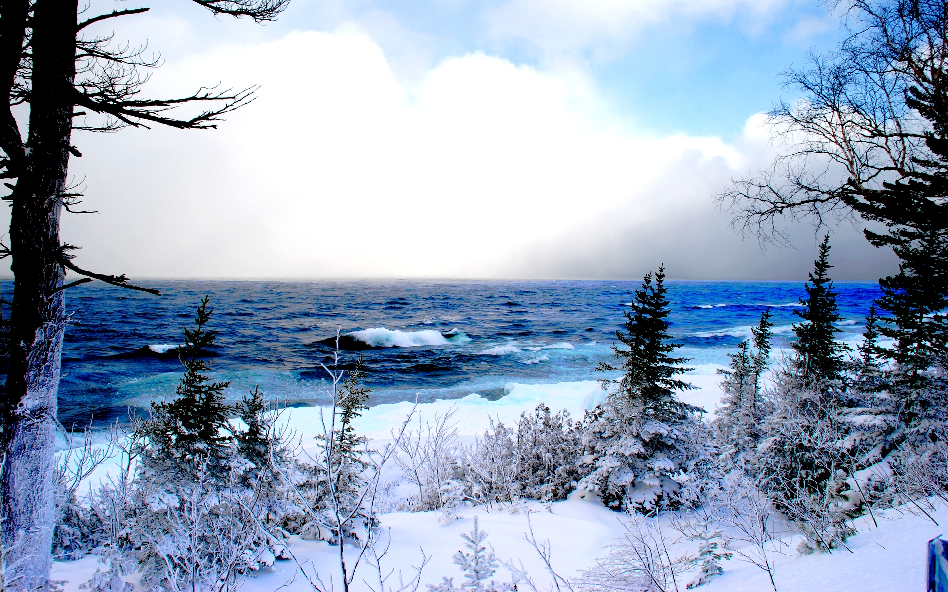 겨울 배경 화면 다운로드,겨울,눈,하늘,자연,자연 경관