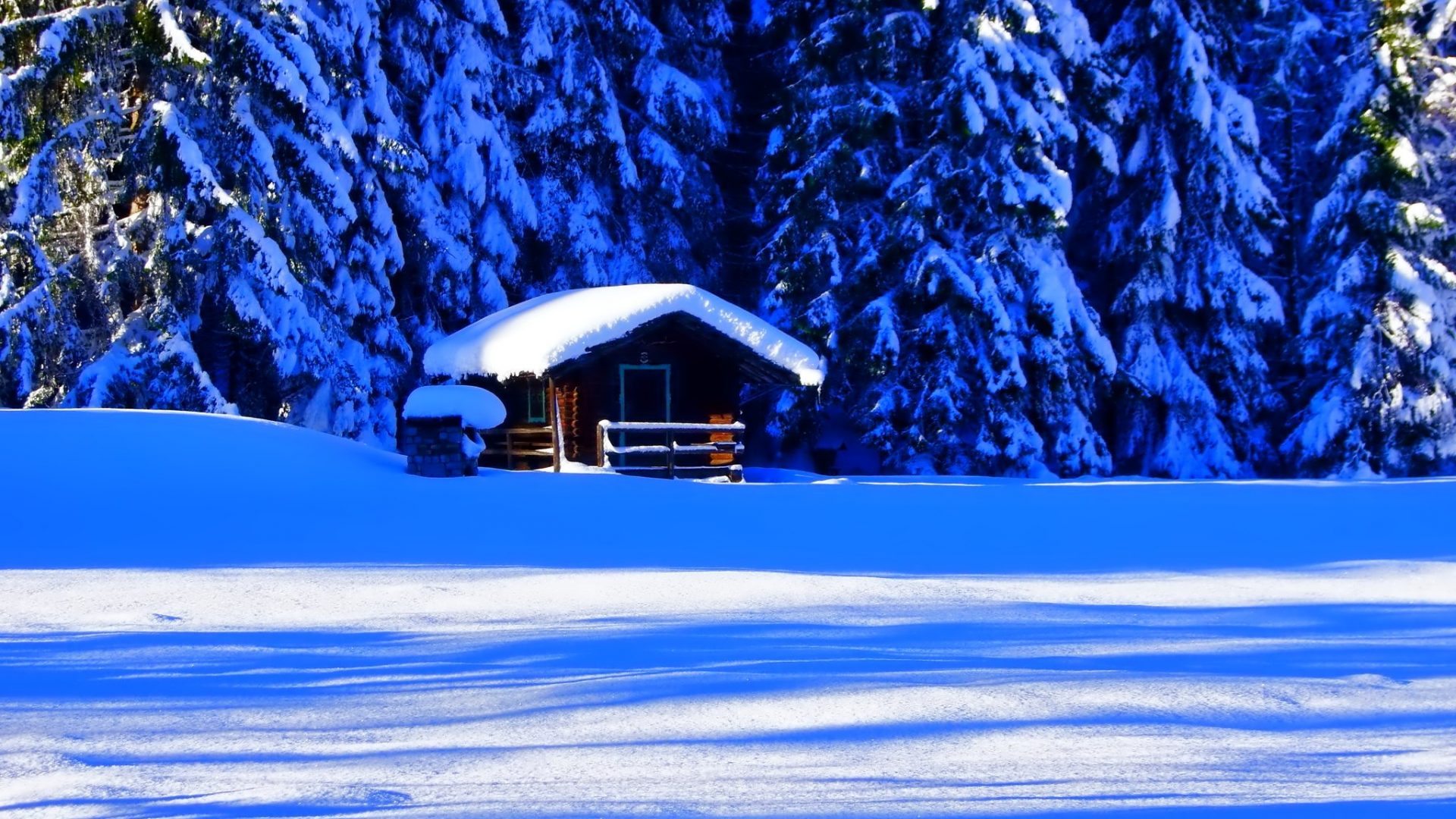 download di sfondi invernali,neve,inverno,blu,natura,albero