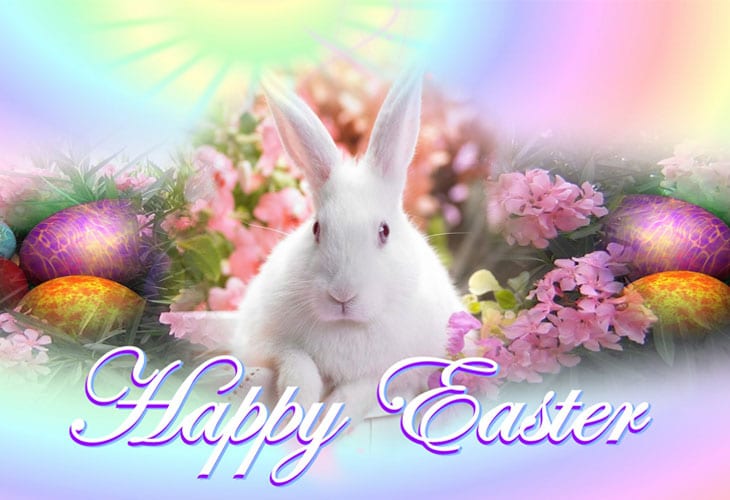 easter bunny wallpaper,easter,spring,morning,easter bunny,holiday