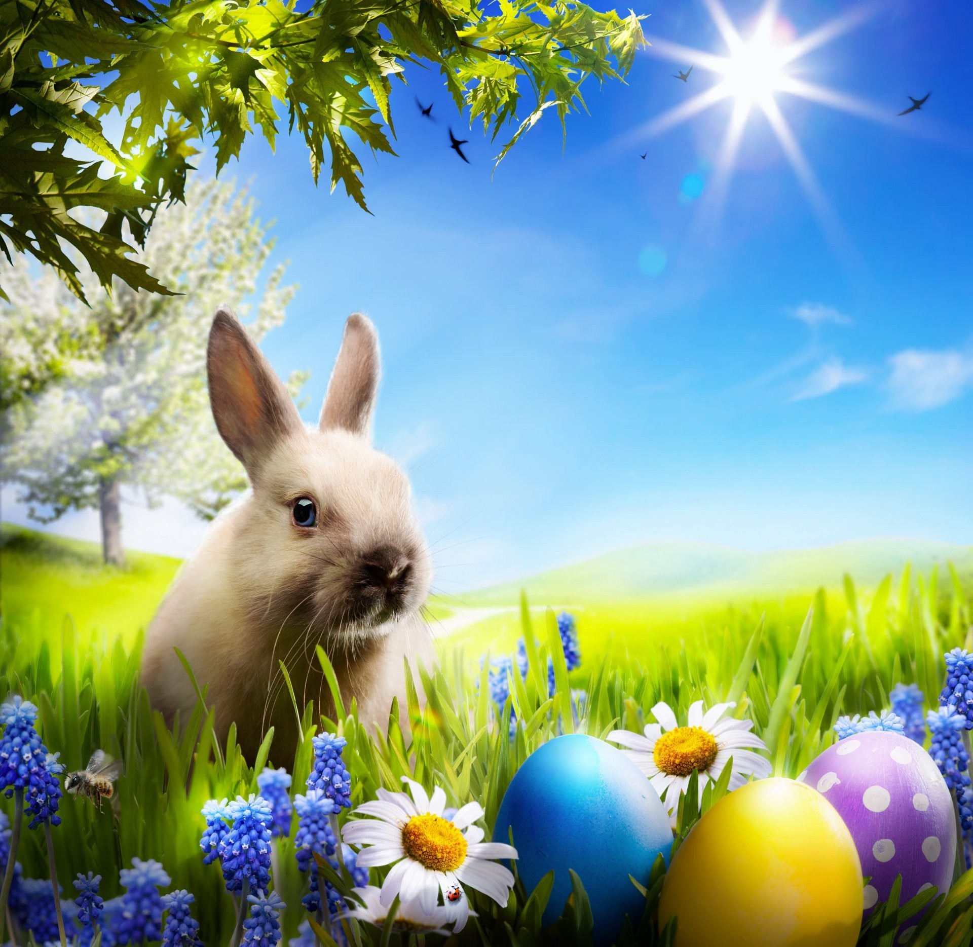 carta da parati coniglietto di pasqua,uovo di pasqua,pasqua,conigli e lepri,coniglio domestico,erba