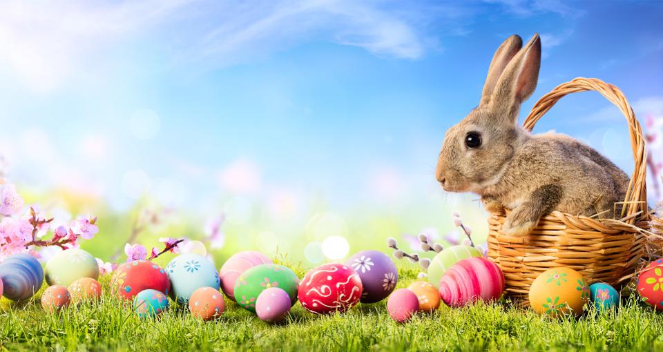 easter bunny wallpaper,easter egg,domestic rabbit,rabbit,easter,rabbits and hares