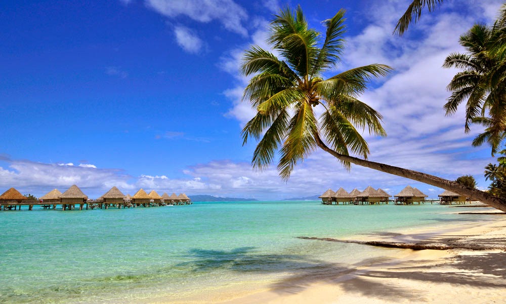 tahiti tapete,gewässer,natur,natürliche landschaft,himmel,baum