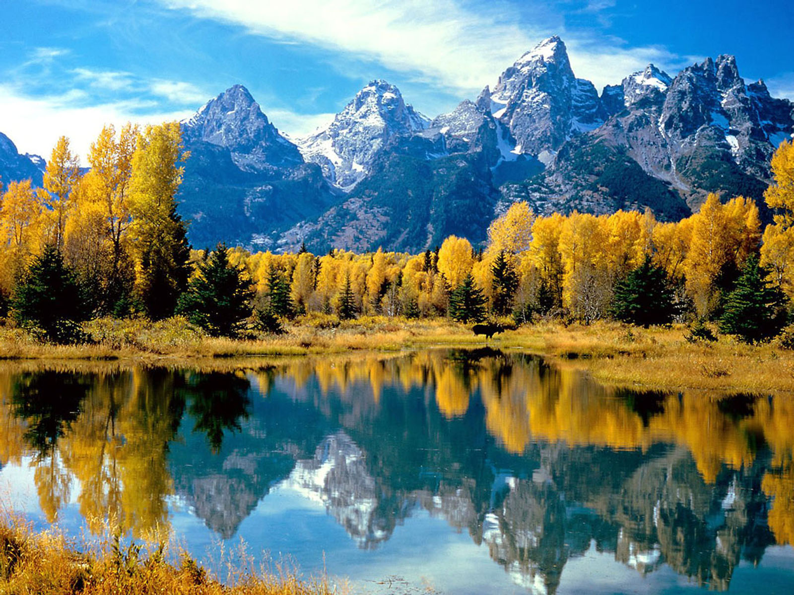 national wallpaper,natural landscape,reflection,nature,mountain,larix lyalliisubalpine larch