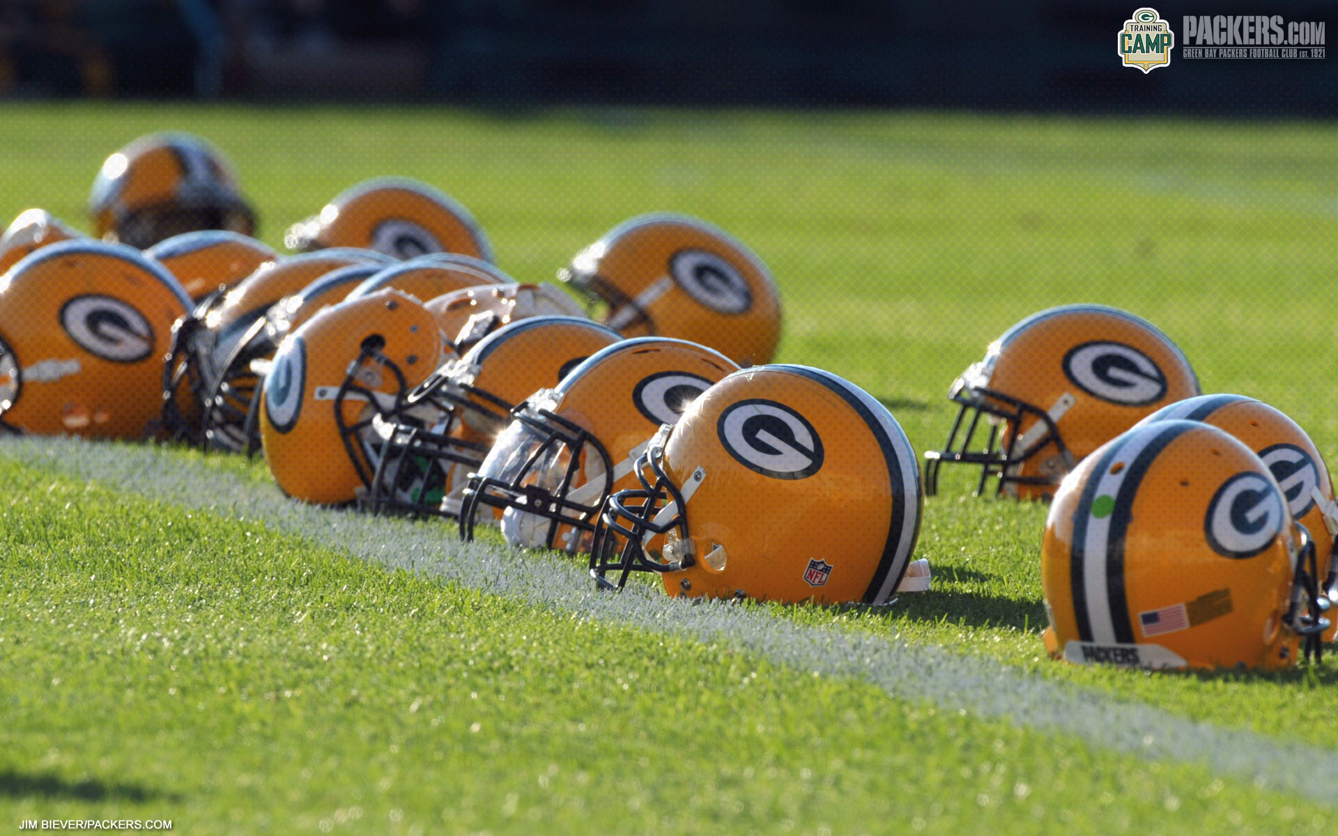 fondo de pantalla de green bay,engranaje de los deportes,yelmo,equipo de fútbol,casco de fútbol,equipo